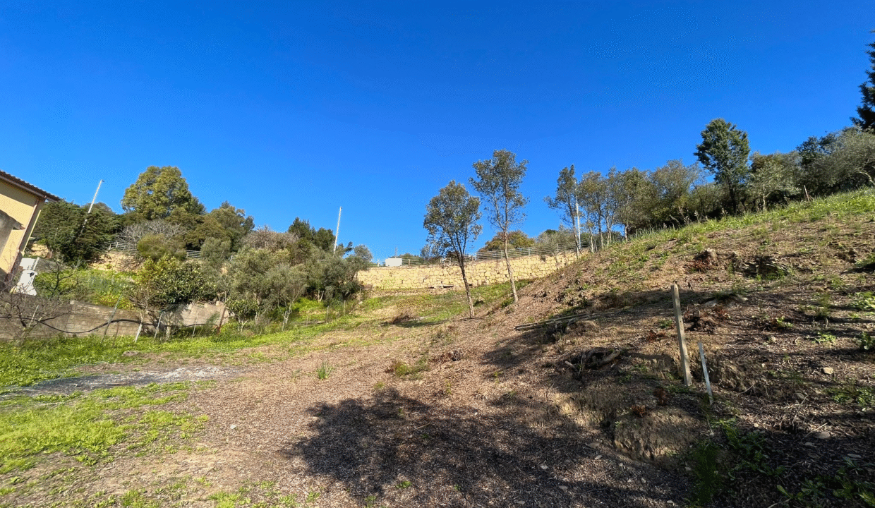 03331c2d-009b-4b45-8e19-4a43aa1a6e68