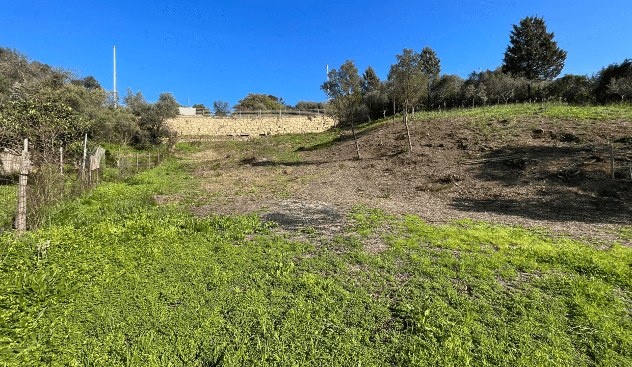 3fd8fa14-4c15-47d4-89f5-e9873fe2ff9e (1)