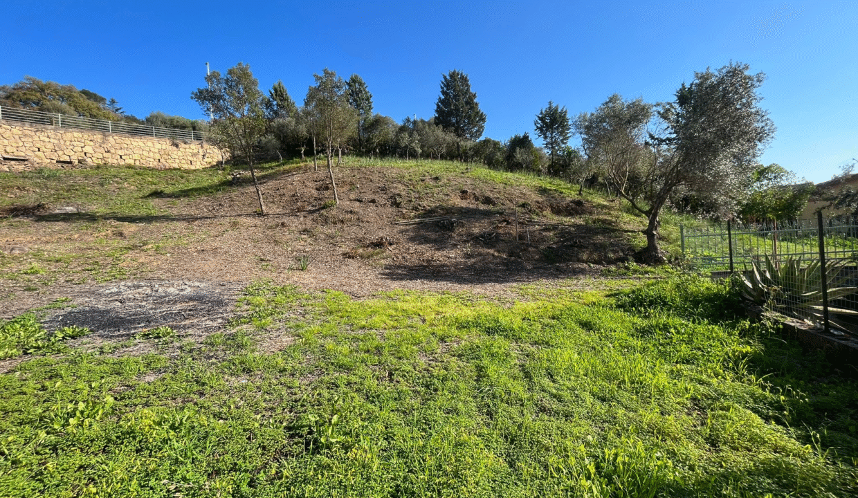 541bfef5-0c23-4b39-8f6f-96e19aeadcf3