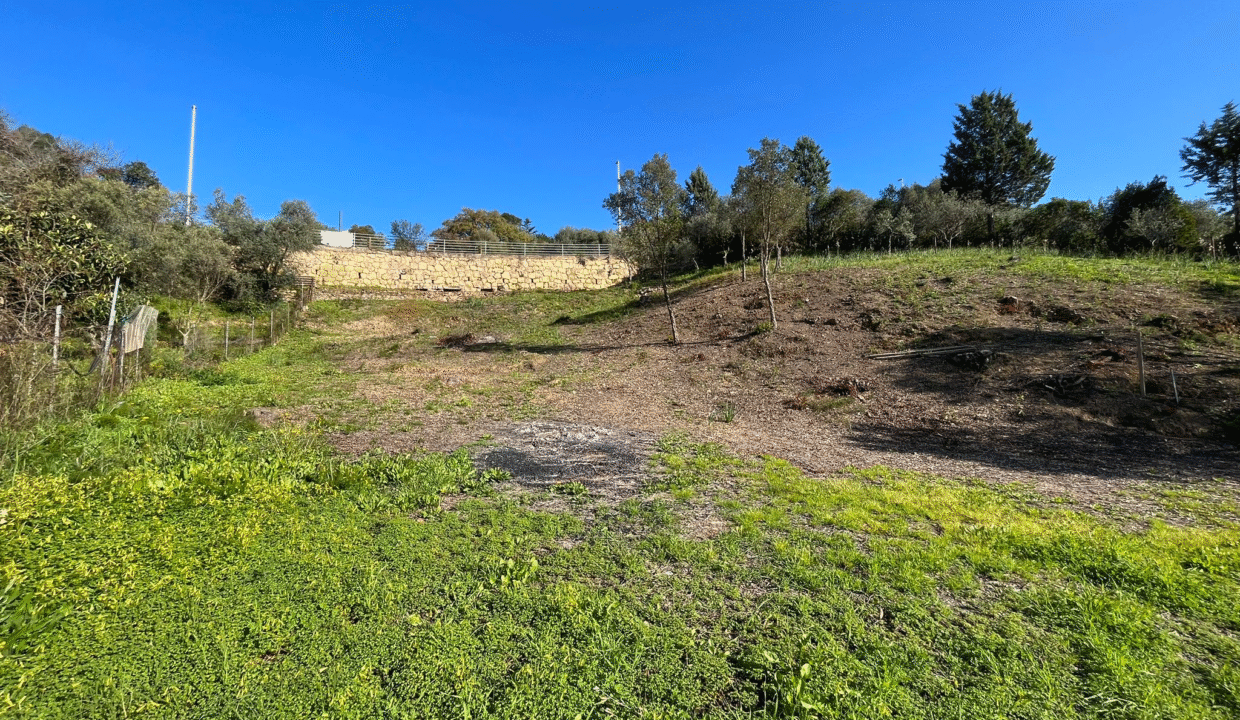 e63b97ba-1416-401e-aa59-9b57fc6dc967