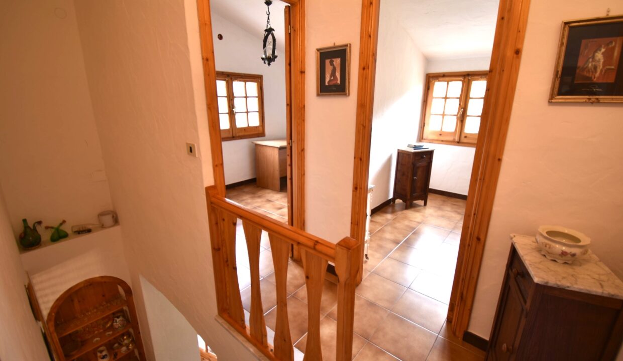 e0297a1c-a14d-4808-9089-28f3f362bacc