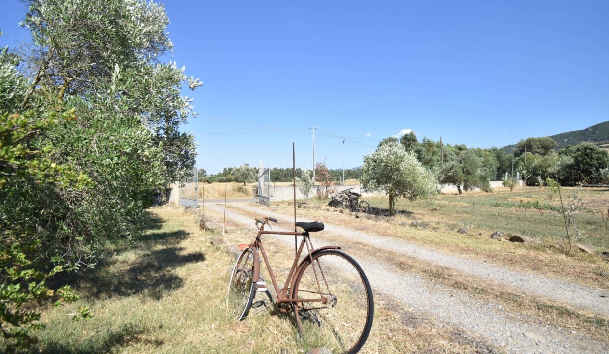 WhatsApp Image 2025-07-18 at 16.49.31 (40)