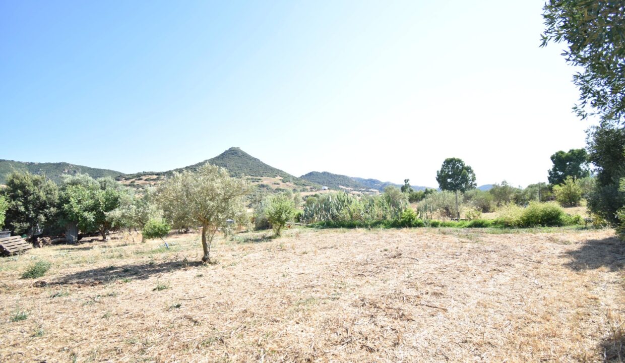 WhatsApp Image 2025-07-18 at 16.49.31 (44)