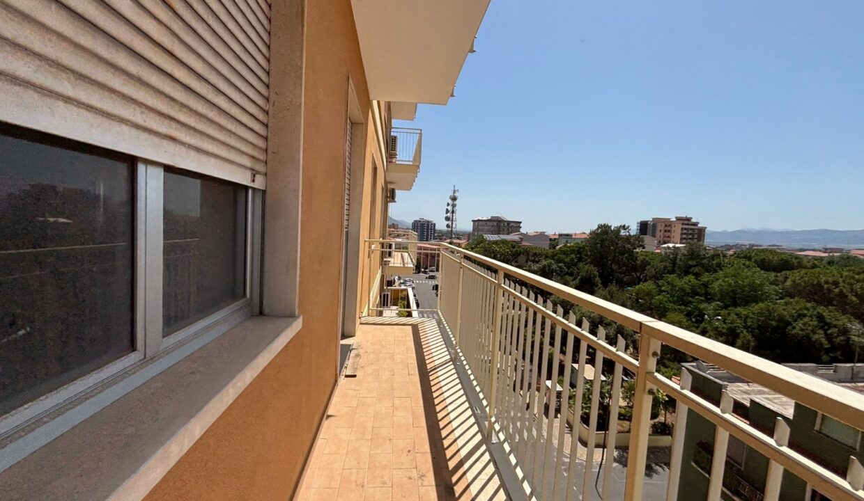 WhatsApp Image 2025-09-19 at 12.11.56 (1)