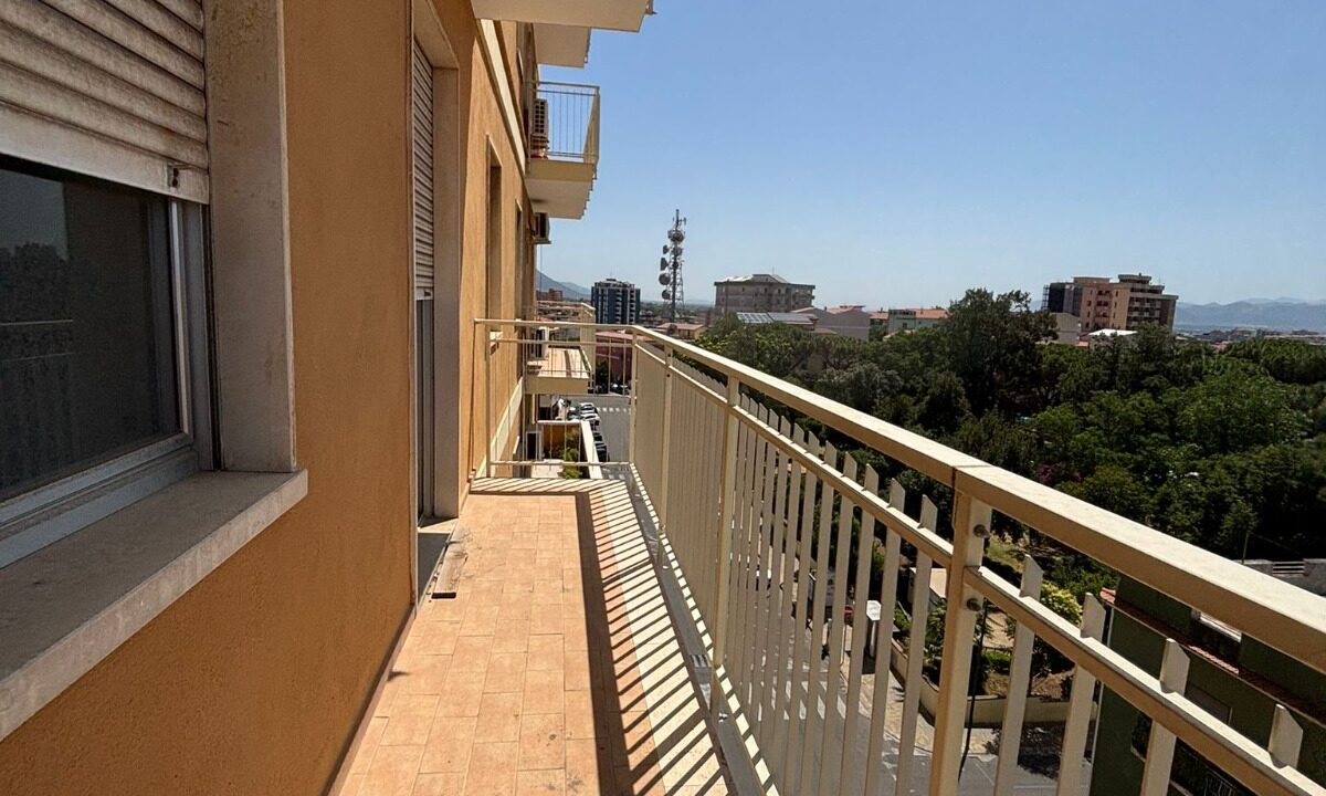 WhatsApp Image 2025-09-19 at 12.11.56