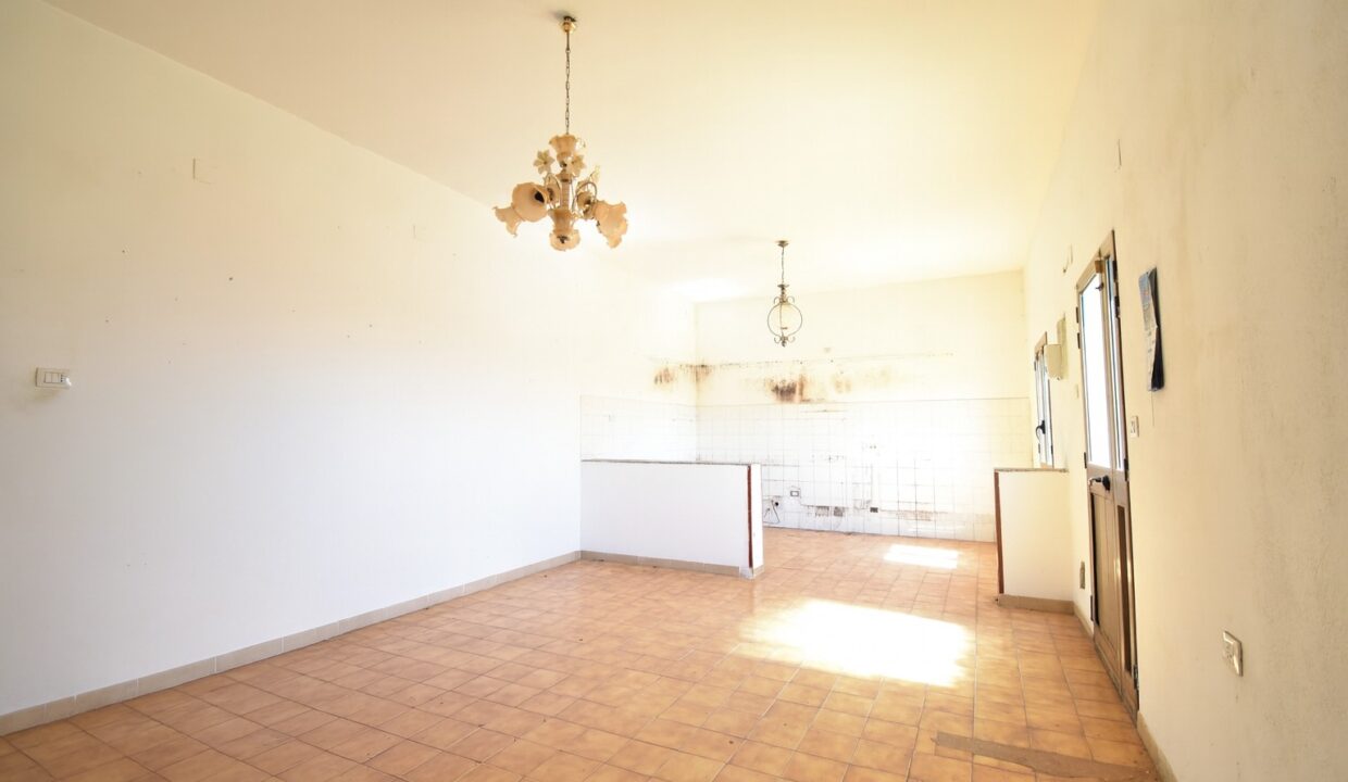 WhatsApp Image 2025-08-05 at 18.51.25 (1)