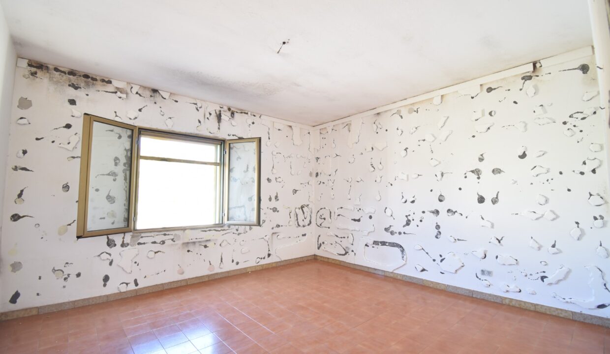 WhatsApp Image 2025-08-05 at 18.53.17 (3)