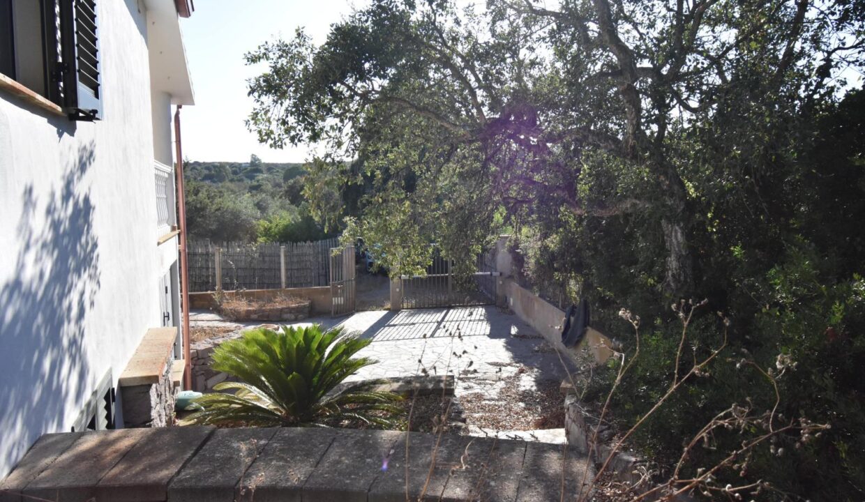 WhatsApp Image 2025-08-07 at 10.58.04 (29)