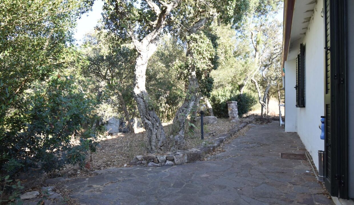 WhatsApp Image 2025-08-07 at 10.58.04 (30)