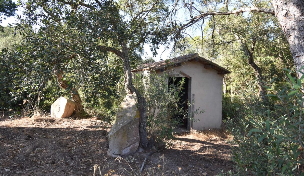 WhatsApp Image 2025-08-07 at 10.58.04 (34)