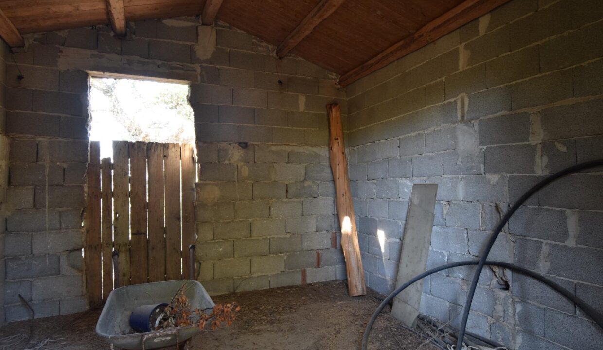 WhatsApp Image 2025-08-07 at 10.58.04 (35)