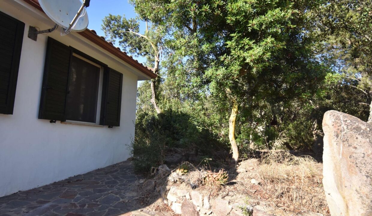 WhatsApp Image 2025-08-07 at 10.58.04 (37)