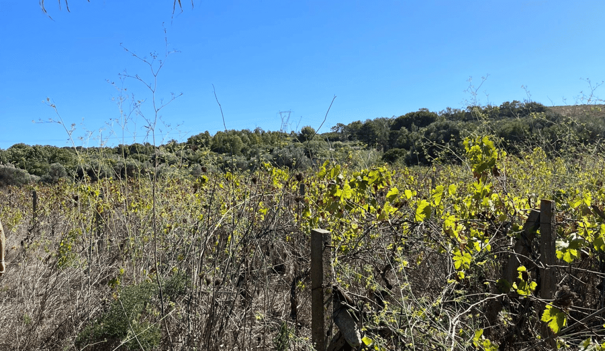 cd278b4a-ed32-44d6-b400-e6ddd3827b0a