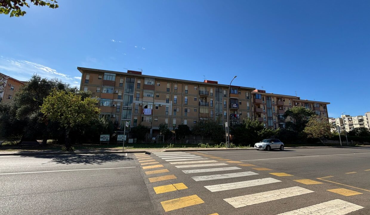 WhatsApp Image 2025-10-20 at 17.50.49