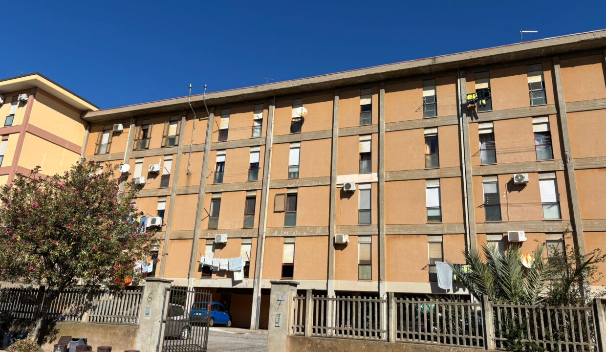 WhatsApp Image 2025-10-20 at 17.50.50 (1)