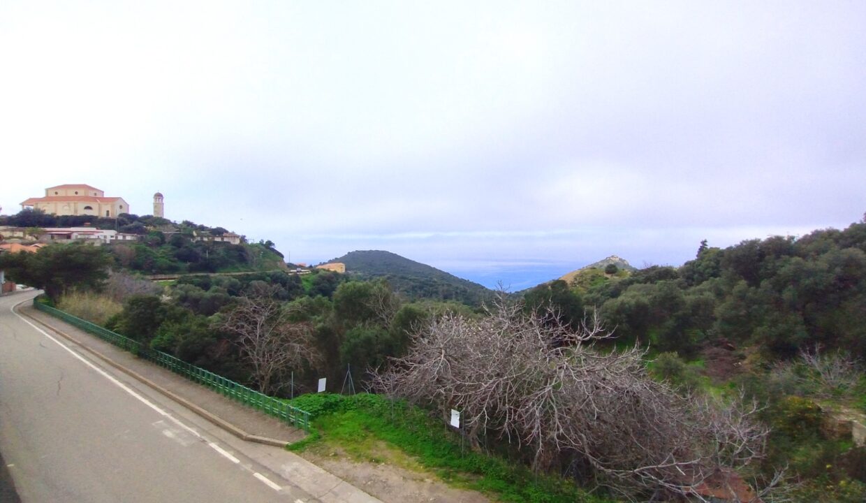 NEBIDA PAN DI ZUCCHERO (4)