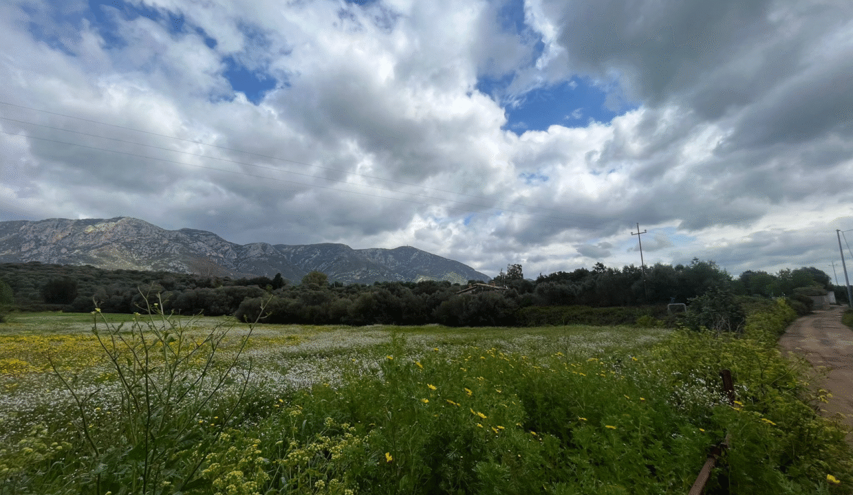 45856313-8cdf-40cb-a28e-fa15c029966f