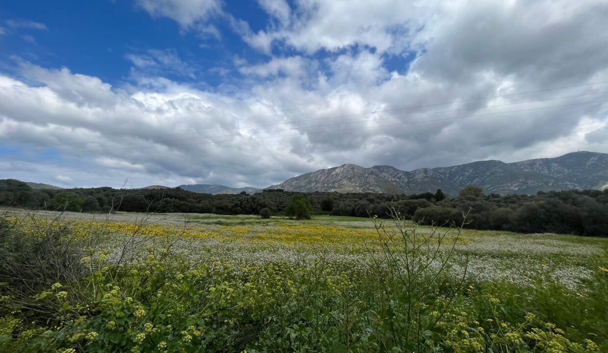 945ddb4c-0a0b-4b80-bed3-0544a5d46eb8