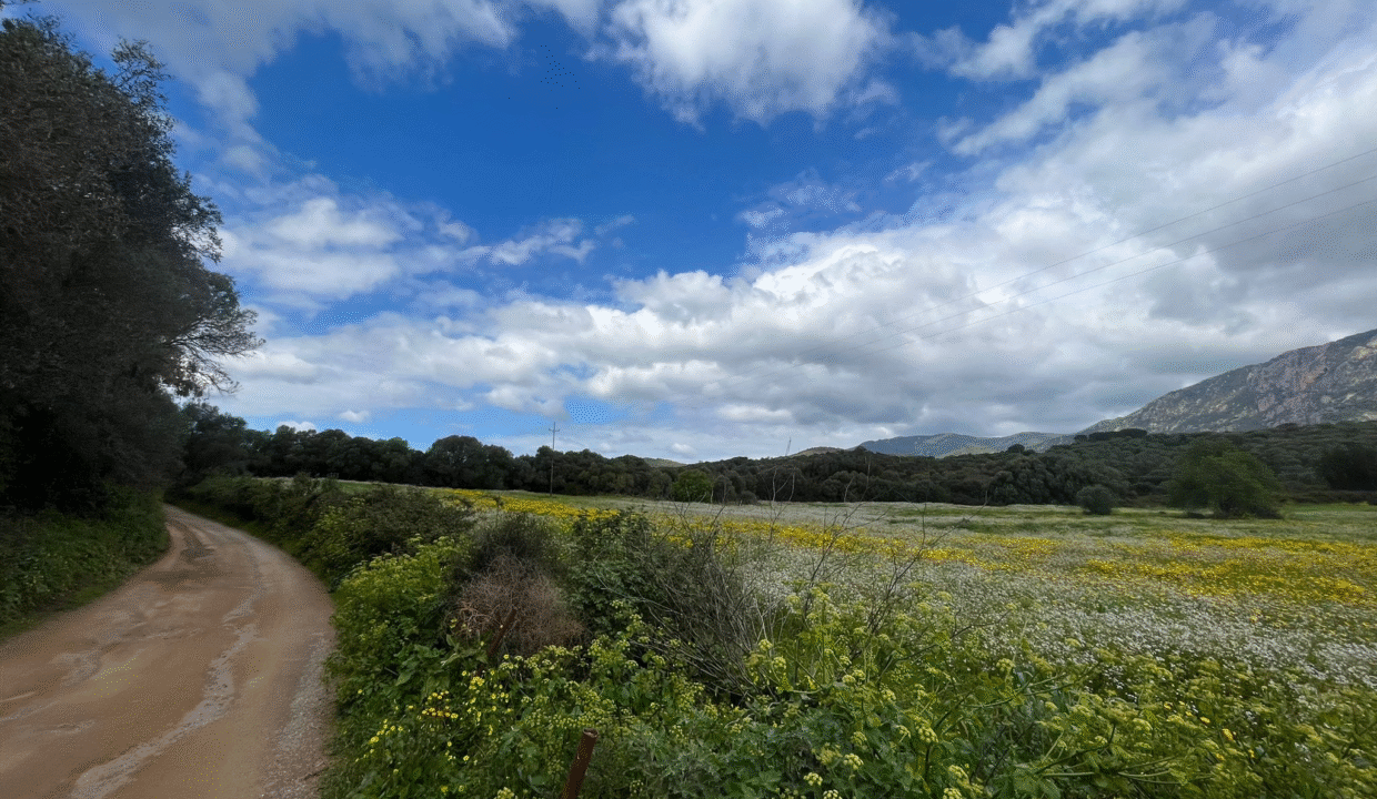 c7e5717b-a40d-4ff5-8d06-69147e45f30e